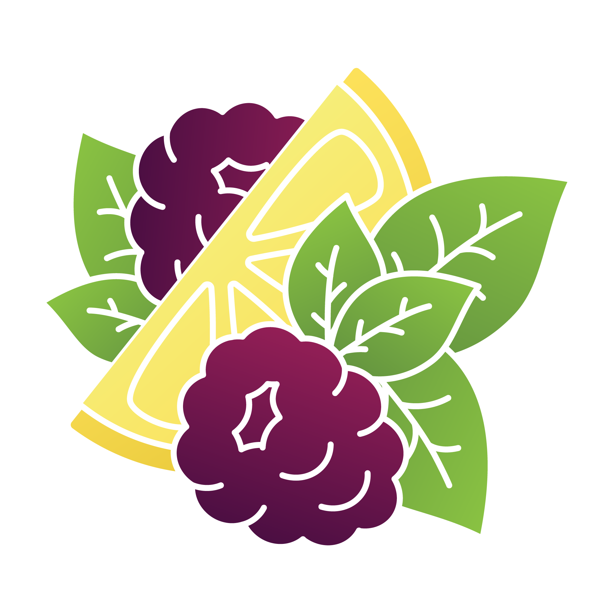 Illustration of lemon slice, blackberries, and green leaves.