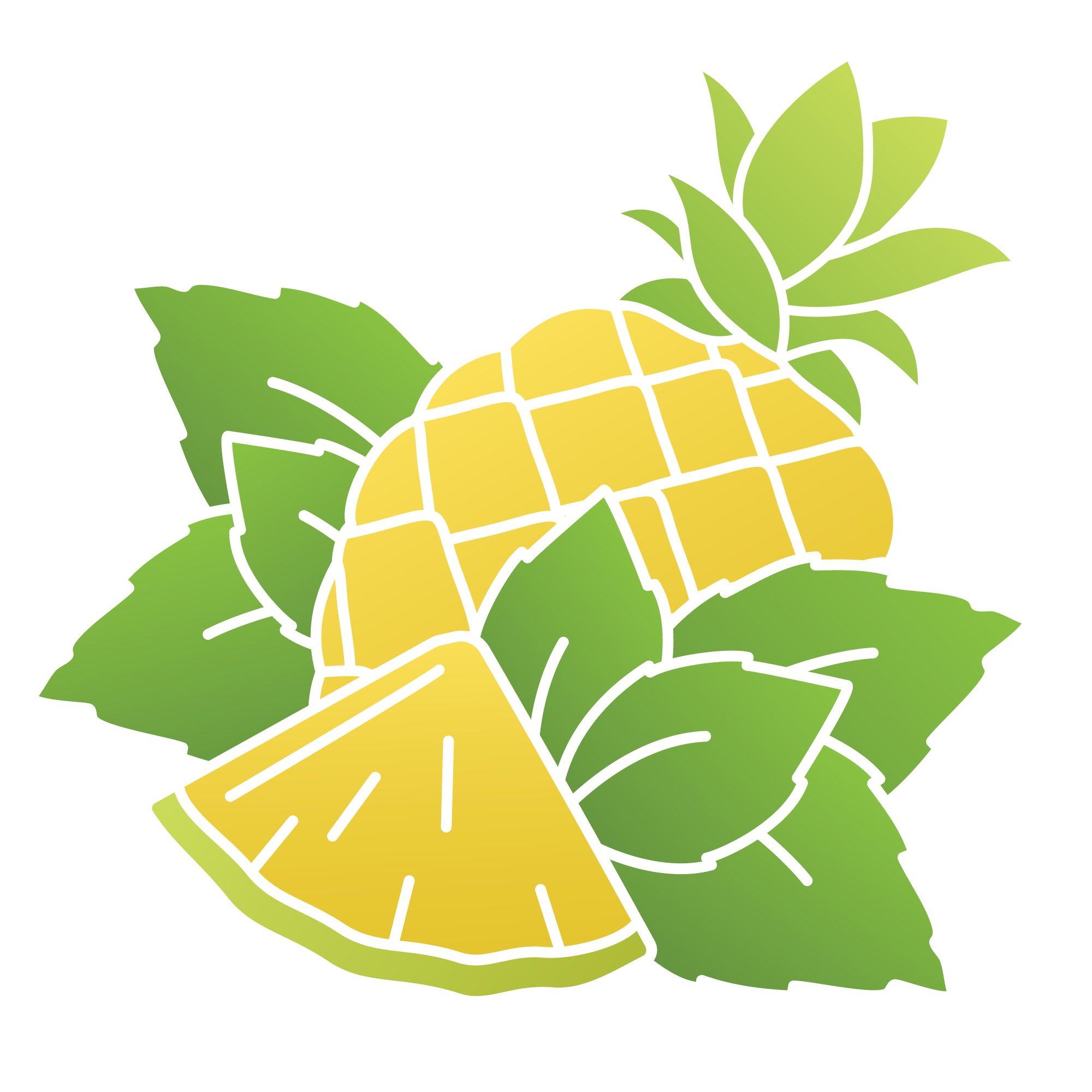 Illustration of a pineapple with leaves and a pineapple slice.